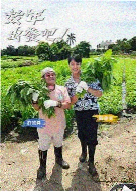 冷凝式滚筒干衣机机型刊号卡主图
